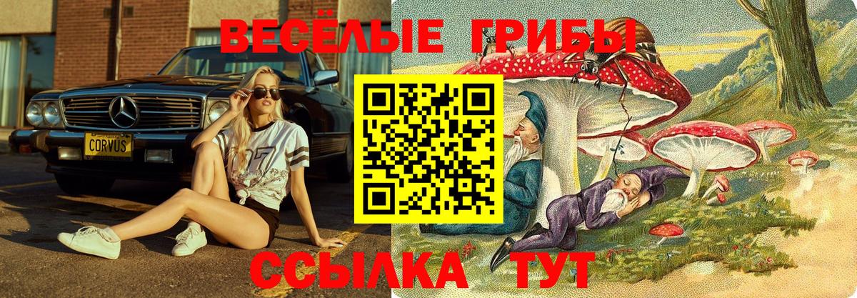 Псилоцибиновые грибы прущие грибы  Псилоцибиновые грибы Psilocybe  Керчь  Вход с VPN 